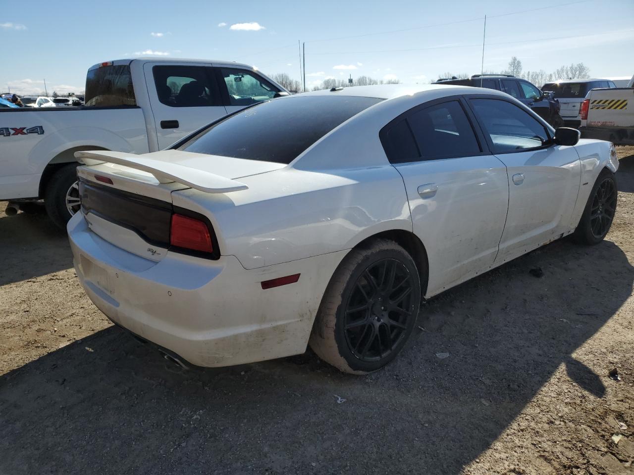 2013 DODGE CHARGER R/ — VIN 2C3CDXCT1DH595978 — photo 3
