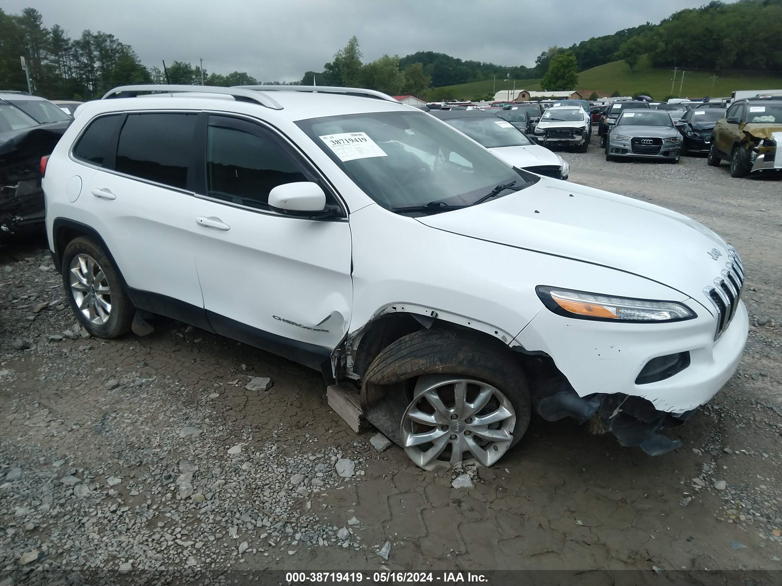 2016 JEEP CHEROKEE — VIN 1C4PJMDS7GW198646 — photo 1 of 16