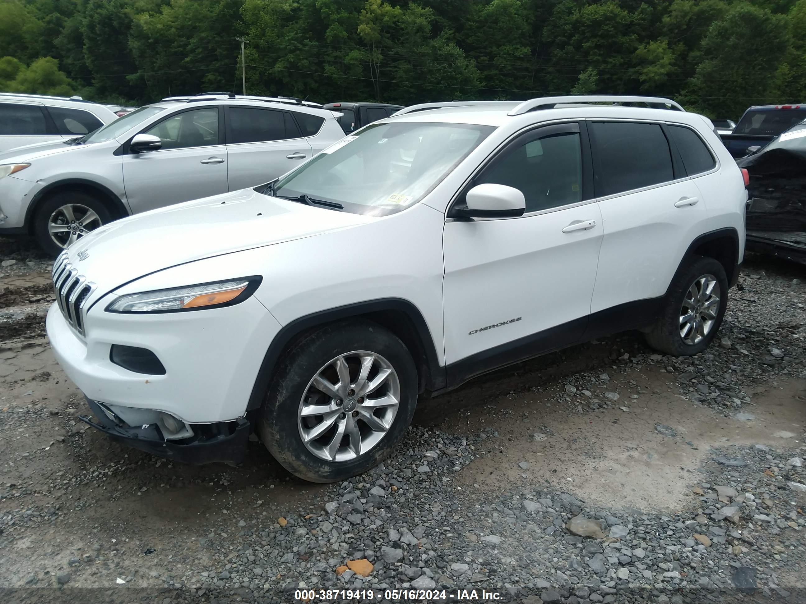 2016 JEEP CHEROKEE — VIN 1C4PJMDS7GW198646 — photo 2