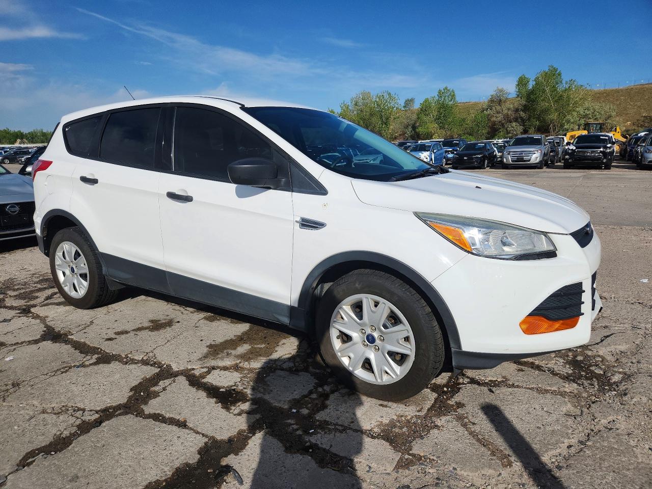2013 FORD Escape — VIN 1FMCU0F71DUD69448 — photo 4
